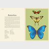 Insectarium | Welcome to the Museum